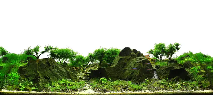 tranh 3d hồ cá