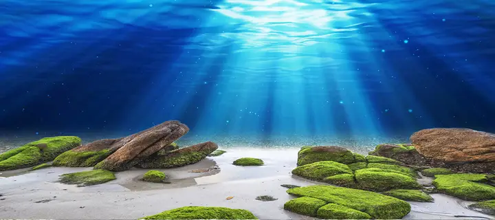 tranh 3d hồ cá