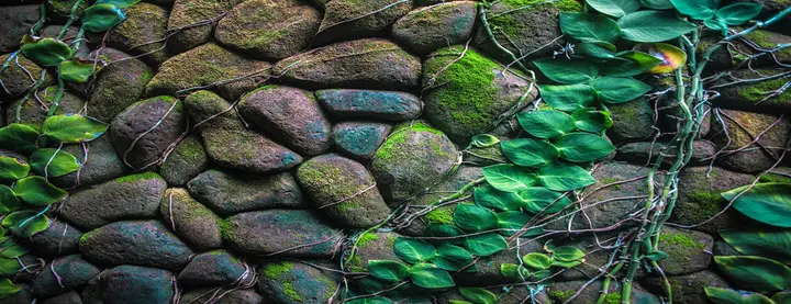 tranh 3d hồ cá