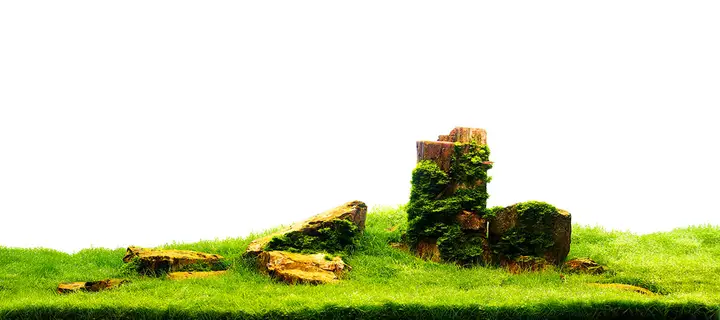 tranh 3d hồ cá