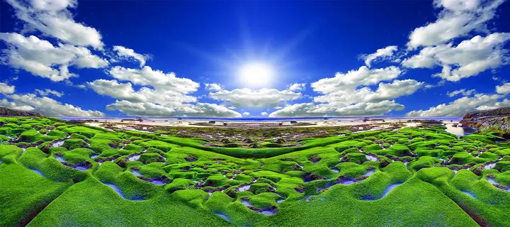 tranh 3d hồ cá