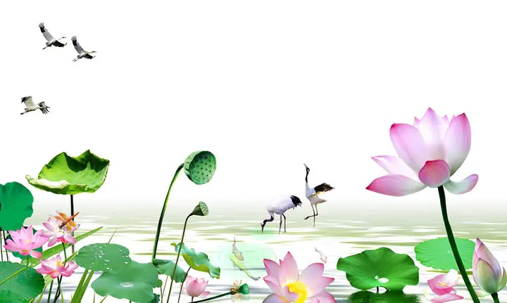 tranh 3d hồ cá
