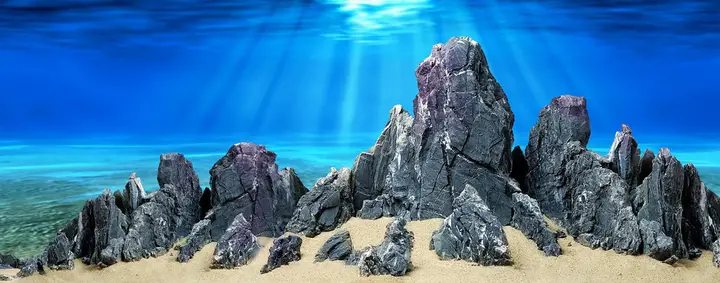 tranh 3d hồ cá