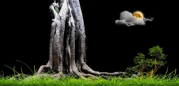 tranh 3d hồ cá