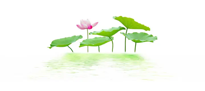 tranh 3d hồ cá