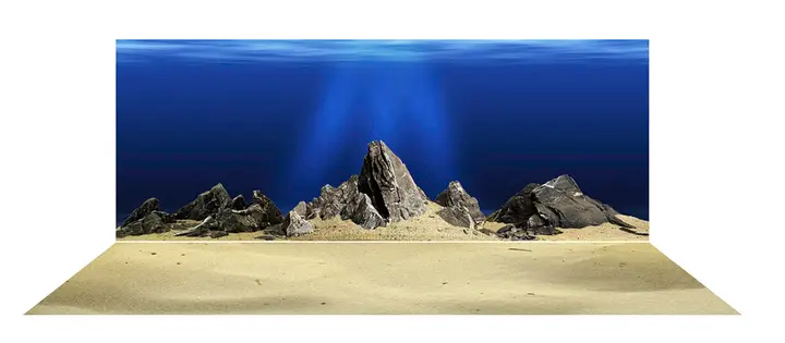 tranh 3d hồ cá