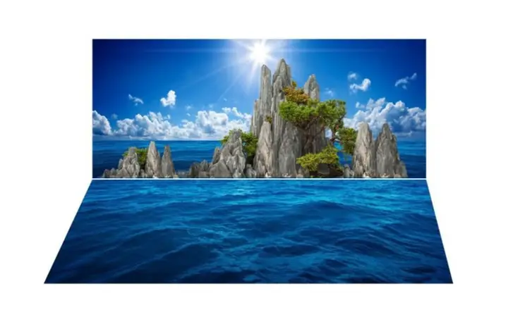 tranh 3d hồ cá