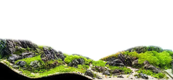tranh 3d hồ cá
