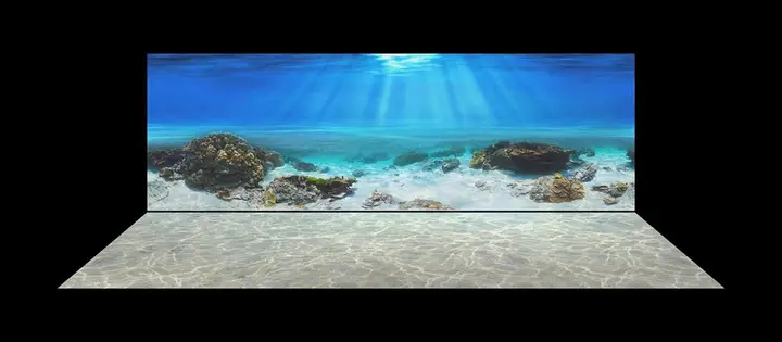 tranh 3d hồ cá