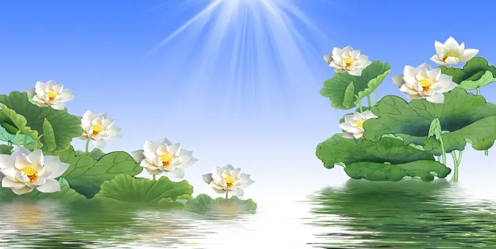 tranh 3d hồ cá