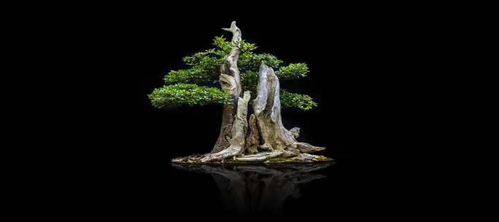 tranh 3d hồ cá