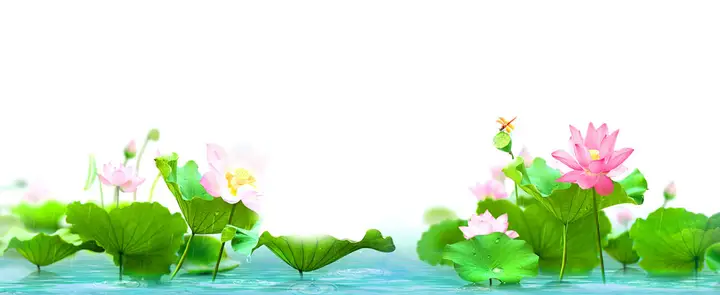 tranh 3d hồ cá