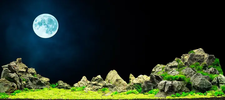 tranh 3d hồ cá