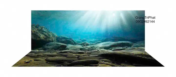 tranh 3d hồ cá