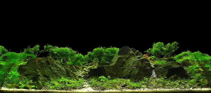 tranh 3d hồ cá