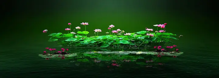 tranh 3d hồ cá