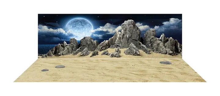 tranh 3d hồ cá