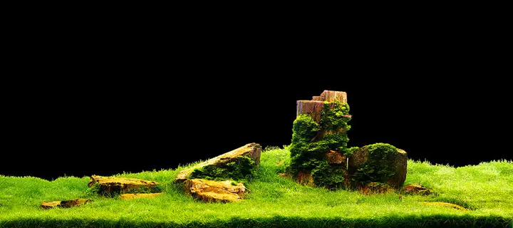 tranh 3d hồ cá