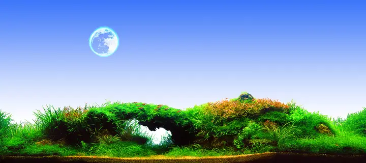 tranh 3d hồ cá
