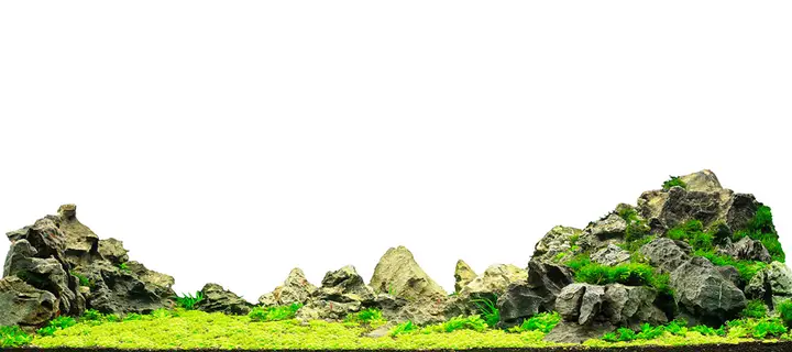 tranh 3d hồ cá