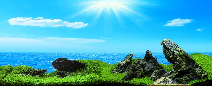 tranh 3d hồ cá