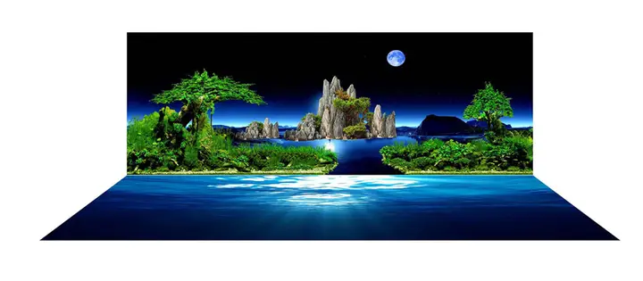 tranh 3d hồ cá