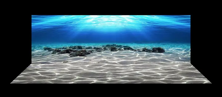 tranh 3d hồ cá