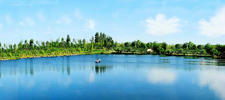 tranh 3d hồ cá