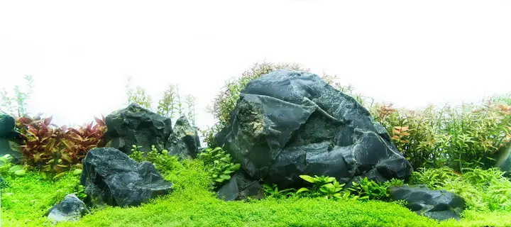 tranh 3d hồ cá