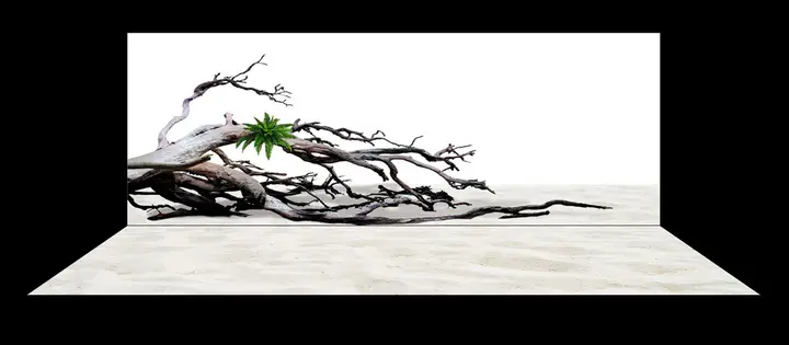 tranh 3d hồ cá