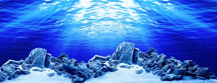 tranh 3d hồ cá