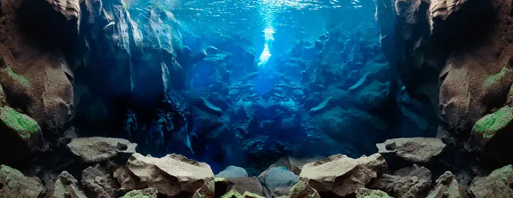 tranh 3d hồ cá