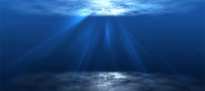 tranh 3d hồ cá