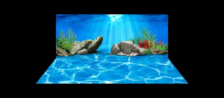 tranh 3d hồ cá