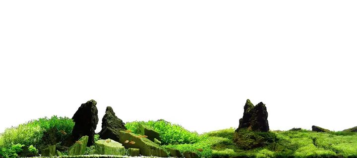 tranh 3d hồ cá