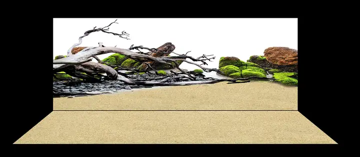 tranh 3d hồ cá