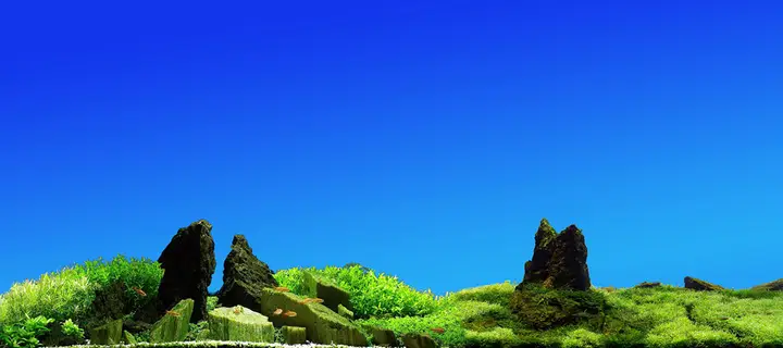 tranh 3d hồ cá