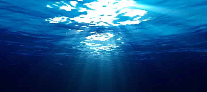 tranh 3d hồ cá