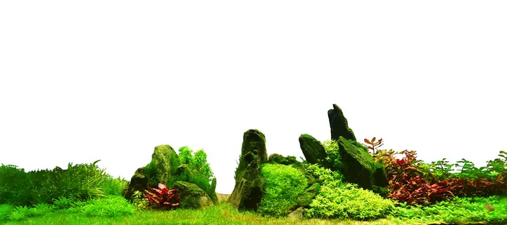 tranh 3d hồ cá
