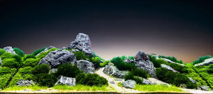 tranh 3d hồ cá