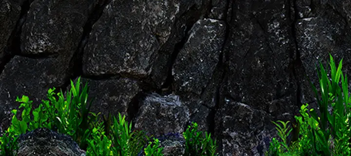 tranh 3d hồ cá