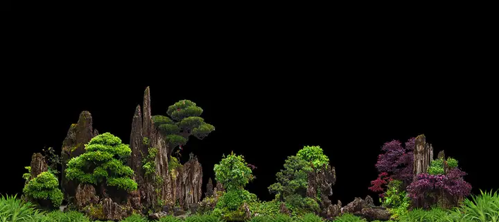 tranh 3d hồ cá