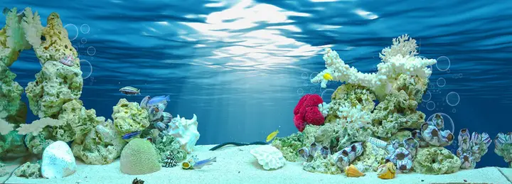tranh 3d hồ cá
