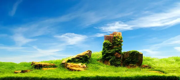 tranh 3d hồ cá