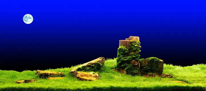 tranh 3d hồ cá