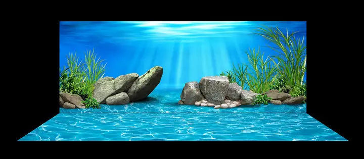 tranh 3d hồ cá