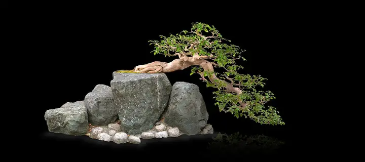 tranh 3d hồ cá