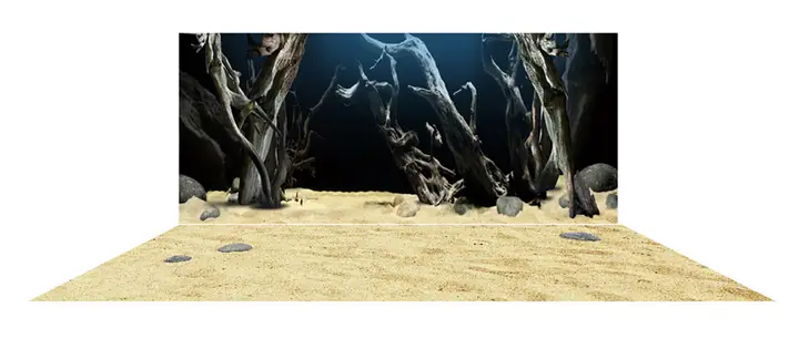 tranh 3d hồ cá