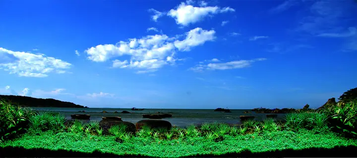 tranh 3d hồ cá