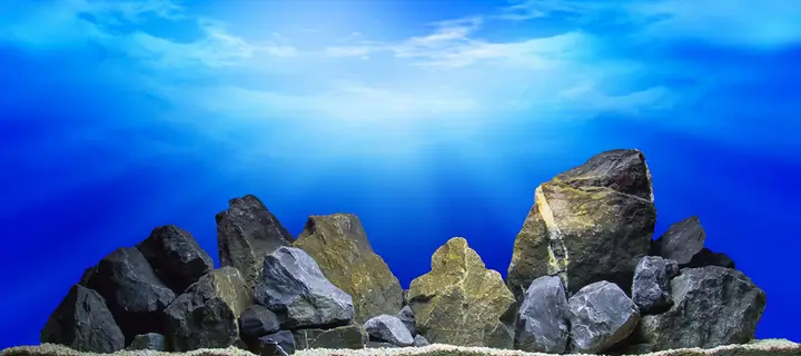 tranh 3d hồ cá